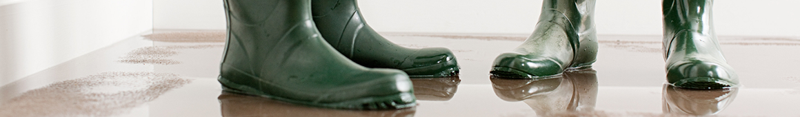 California Flood Insurance Coverage