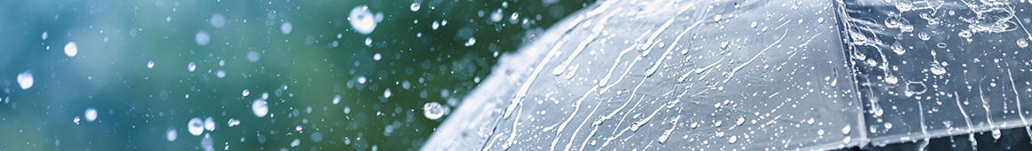 California Umbrella Insurance Coverage